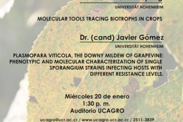 Molecular tools tracing biotrophs in crops